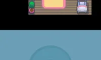 Pokemon Pearl – Slotmod