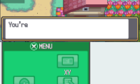 Pokemon Perfect Heart