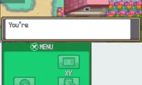 Pokemon Perfect Heart
