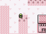 Pokemon Red Gender Selection