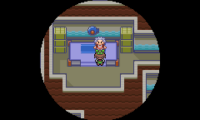Pokemon Run & Bun v1.07