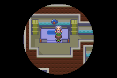 Pokemon Run & Bun v1.07