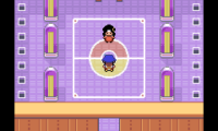 Pokemon Scarlet & Violet 1.7.2
