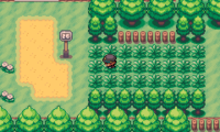 Pokemon Spades & Clubs