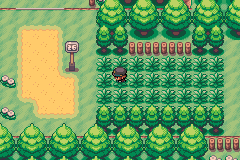 Pokemon Spades & Clubs