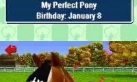 Pony Friends (Europe) (En,Fr,De,Es,It,Nl)