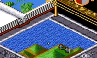 Populous (USA)