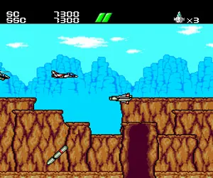 Power Gate (Japan)