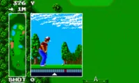 Power Golf (Japan)