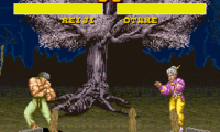 Power Instinct (USA)