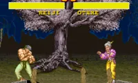Power Instinct (USA)