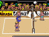 Power Spike – Pro Beach Volleyball (USA)