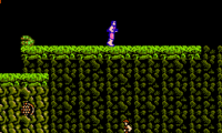 Predator (USA)