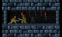 Prince of Persia (Japan)