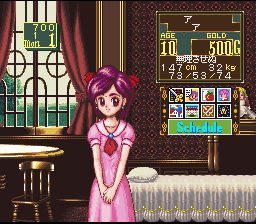 Princess Maker – Legend of Another World (Japan)