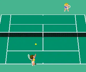 Pro Tennis World Court (Japan)
