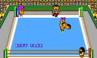 Pro Wrestling (USA, Europe)