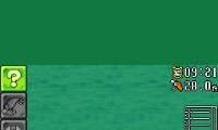Professional Fisherman’s Tour – Northern Hemisphere (USA)