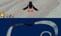 Puffins – Island Adventure (USA) (En,Fr)