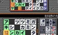 Puzzle Series Vol. 8 – Nankuro (Japan)