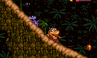 Radical Rex (Europe)