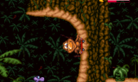 Radical Rex (USA)