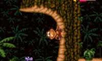Radical Rex (USA)