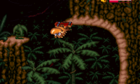 Radical Rex (USA) (Beta)