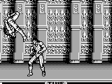 Raging Fighter (USA, Europe)