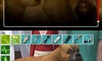 Real Adventures – Pet Vet (Europe) (En,Nl,Sv,No,Da)