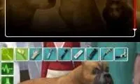 Real Adventures – Pet Vet (Europe) (En,Nl,Sv,No,Da)
