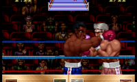 Riddick Bowe Boxing (USA)