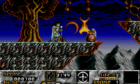 Risky Woods (USA, Europe)