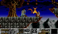 Risky Woods (USA, Europe)