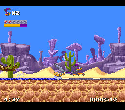 Road Runner’s Death Valley Rally (USA)