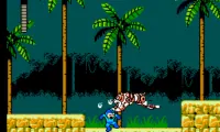 Rockman 5 – Blues no Wana! (Japan)