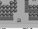 Rolan’s Curse (USA)