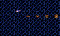 Salamander (Japan)