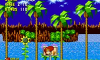 Sally Acorn in Sonic the Hedgehog