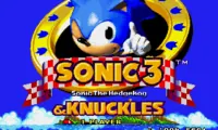 SatAM Sonic in Sonic 3 &amp; Knuckles