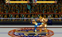 Saturday Night Slammasters (Europe)