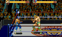 Saturday Night Slammasters (USA)