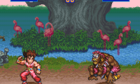 SD Hiryuu no Ken (Japan)