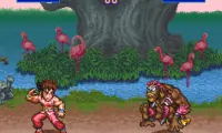 SD Hiryuu no Ken (Japan)