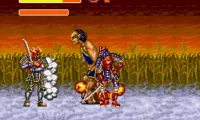 Sengoku Denshou (Japan)