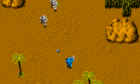 Senjou no Ookami (Japan)