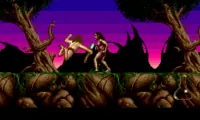 Shadow of the Beast II (USA, Europe)