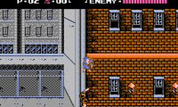 Shadow Warriors (Europe)