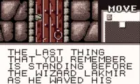 Shadowgate Classic (USA, Europe) (En,Fr,De,Es,Sv)