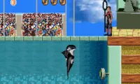 Shamu’s Deep Sea Adventures (E)(Sir VG)